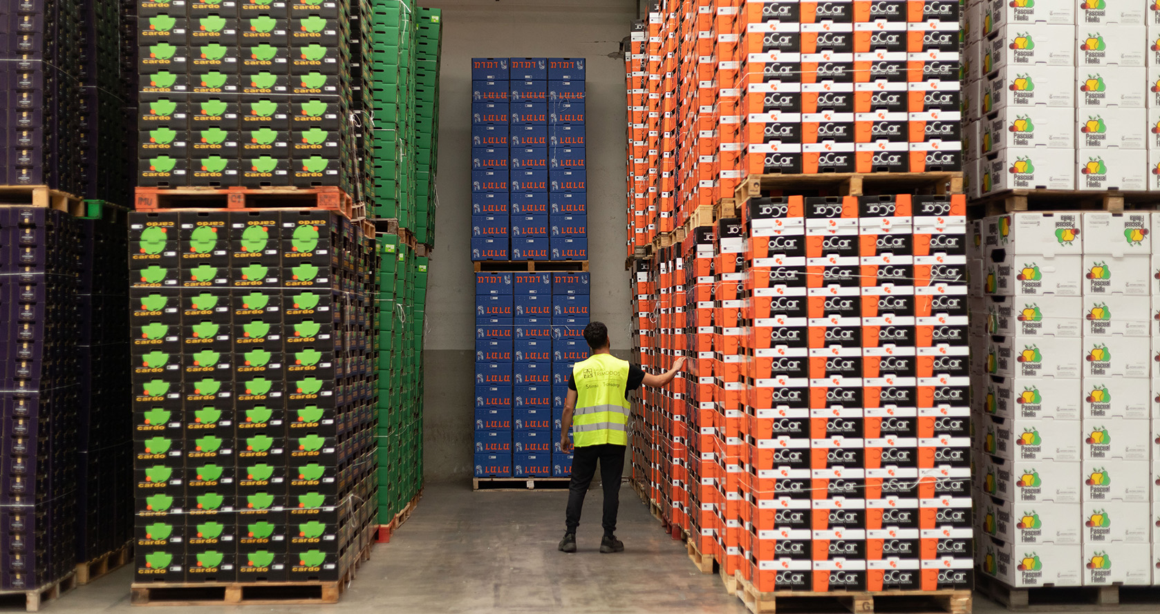 logistica sevilla